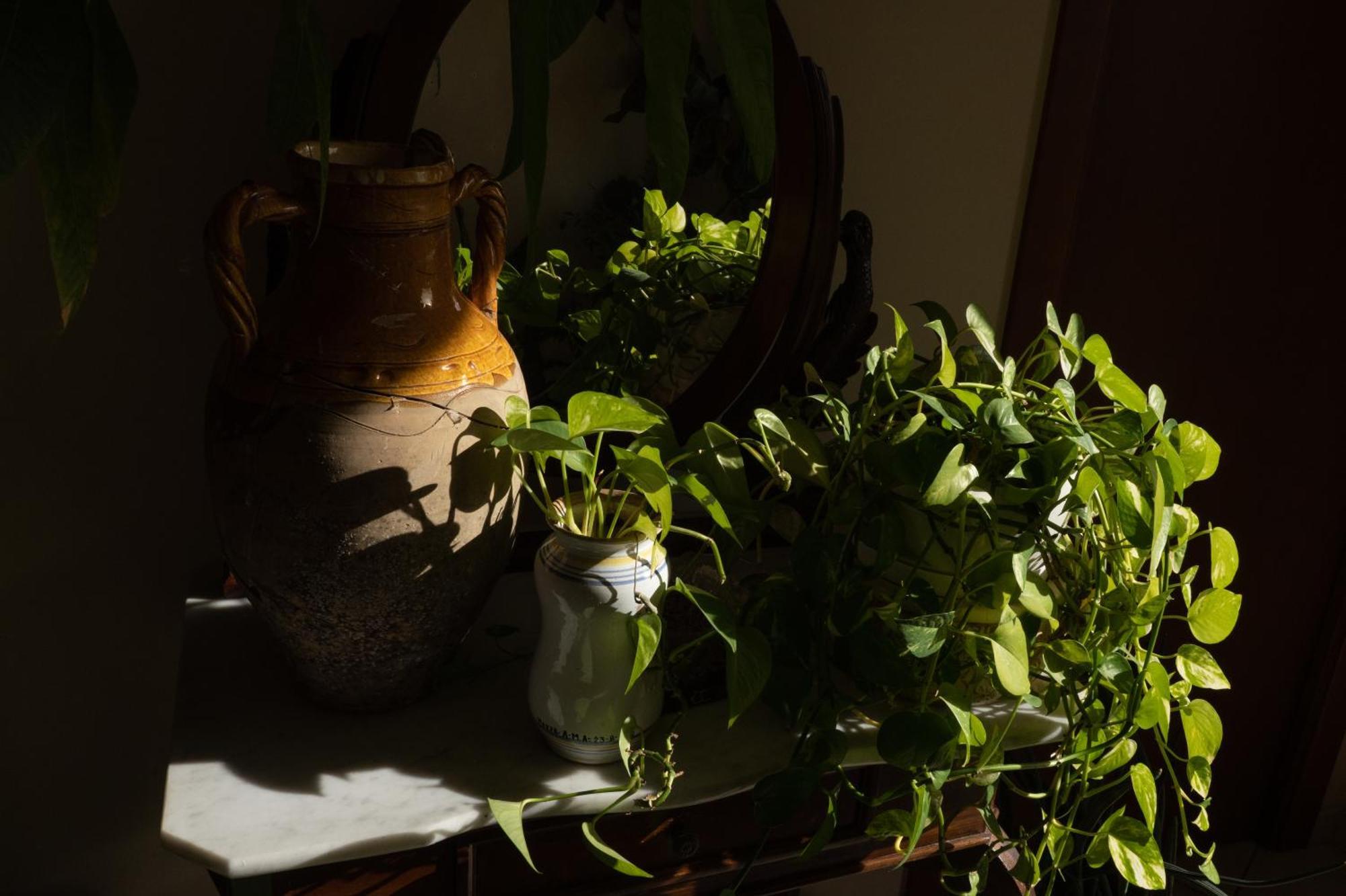 B&B Iris Laterza Kültér fotó